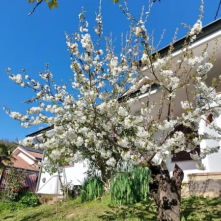 Teodolinda